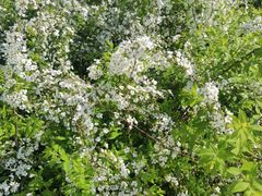 -苏州河梦清园环保主题公园