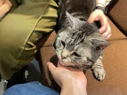 -幸运7纹身刺青Lucky7tattoo