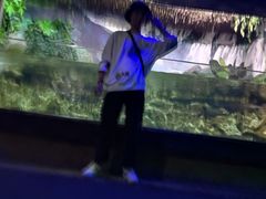 -杭州海底世界
