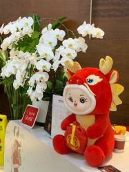 -洁铭新加坡医美