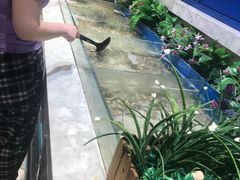 -火锅岛潮牌自助餐厅(天津天佑城店)