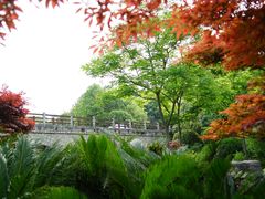 -铁山坪森林公园