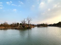 -西溪国家湿地公园