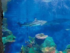 -泉州海丝野生动物世界