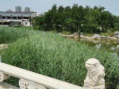 -绿岛公园(滨海新区)