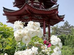 -大慈恩寺(大雁塔)