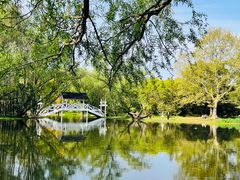 -上海共青森林公园