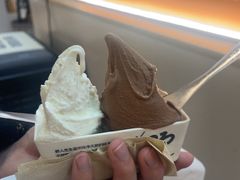 -野人先生现做冰淇淋(北京环宇荟店)