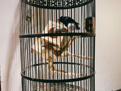 -清真·京华源铜锅涮肉(丰庆店)