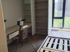 -Liteclear日本进口强效除甲醛检测治理(旗舰店)