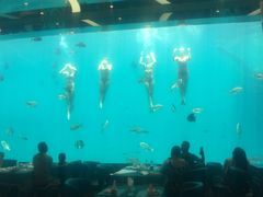 -瑞德姆美人鱼海底演艺主题餐厅(亚龙湾店)