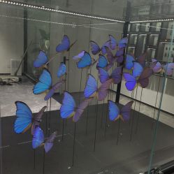 点击看大图 -酷嗒动物文化乐园(cutezoo西溪乐天城店)