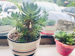 -遇见小院·长思缘农家院(怀柔店)
