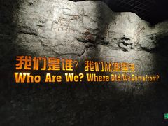 -国家自然博物馆