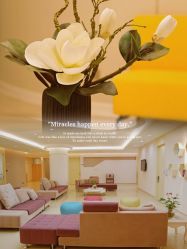 -北京和美妇儿医院