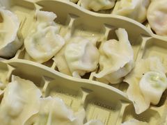 -东方饺子王(新奥购物中心店)