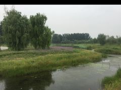 -东郊湿地公园