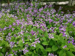 -杭州盛泰开元名都大酒店-地中海自助餐厅