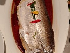 -醉庐·新上海菜(南京西路店)