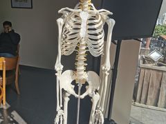 -证大大拇指广场(芳甸路店)