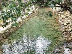 -虾王农家乐(鼎湖店)
