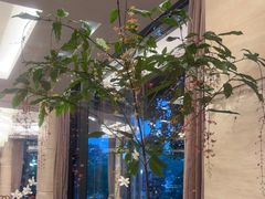 -浙江西子宾馆·瑶园咖啡厅