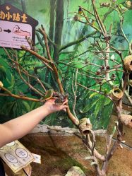 -Zoolung Zoolung动物主题公园(海信广场店)