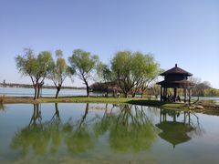 -渤公岛生态公园