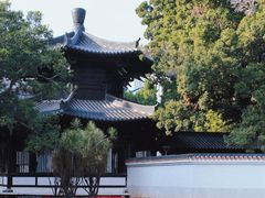 -荔湾湖公园
