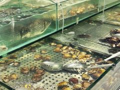 -鲜阁坊海鲜自助融合烤肉(银泰百货温州瓯海店)