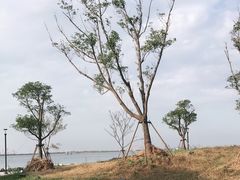 -滴水湖