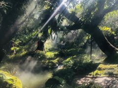 -Chom Cafe and Restaurant