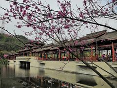 -重庆彩云湖湿地公园