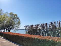 -太阳岛度假酒店