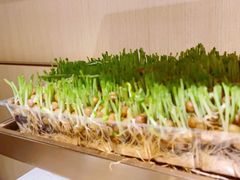 -海底捞火锅(苏宁生活广场店)