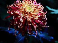 -共青国家森林公园-南大门停车场