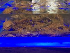 -粗茶淡饭·隐庐私厨(东亭店)