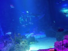 -沈阳海洋探索中心