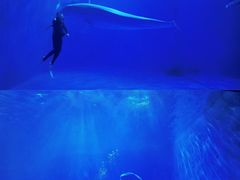 -多彩贵州城极地海洋世界