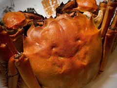 -新光酒家·河豚·海鲜·蟹料理(浦东店)