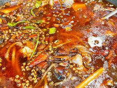 -鸿顺老铁锅美蛙鱼府(解放碑店)