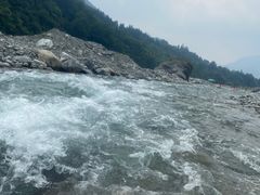 -虹口漂流