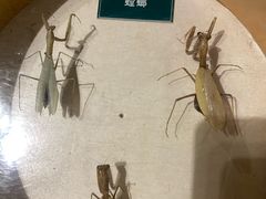 -陕西自然博物馆