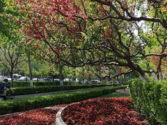 -北京喜剧院