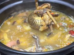 -野菌皇海景野生菌火锅(滨海大道店)