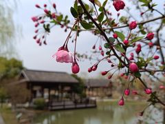 -尚湖风景区