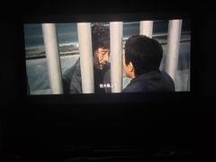 -幸福蓝海国际影城(河西店)