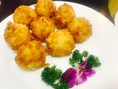 -丁老爷子苏香圆