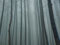 -山王坪喀斯特国家生态公园