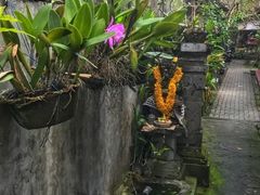 -乌布德传统市场